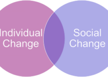 Defining the Social Worker as Consultant (1st in the Social Work Consultant Series)