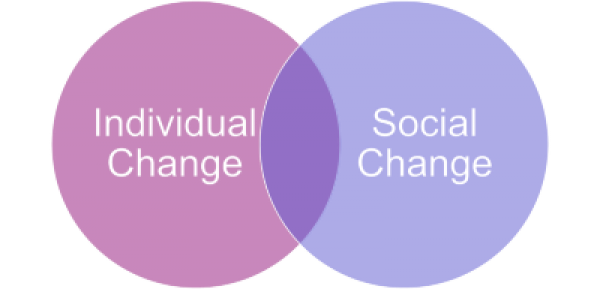 Defining the Social Worker as Consultant (1st in the Social Work Consultant Series)