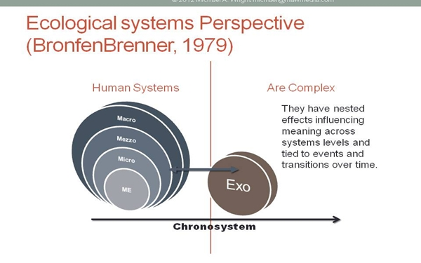 Ecological Systems Theory and Practice: Visualizing Human Systems