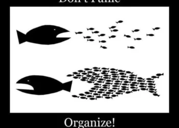 Advocacy Series: Strategy, Targets, and Tactics…Oh my!