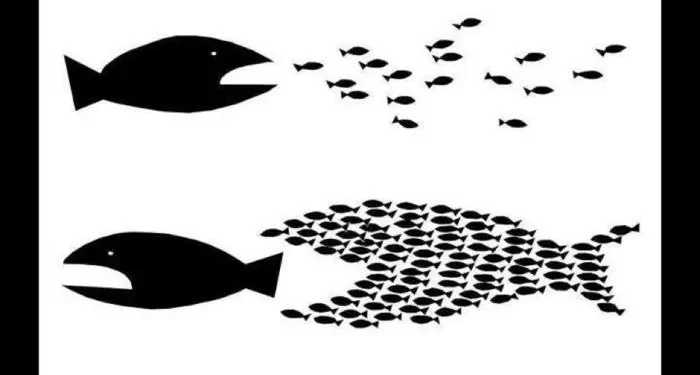 Advocacy Series: Strategy, Targets, and Tactics…Oh my!