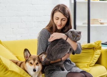 The Intersection of Social Work and Animal Welfare