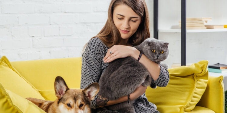 The Intersection of Social Work and Animal Welfare